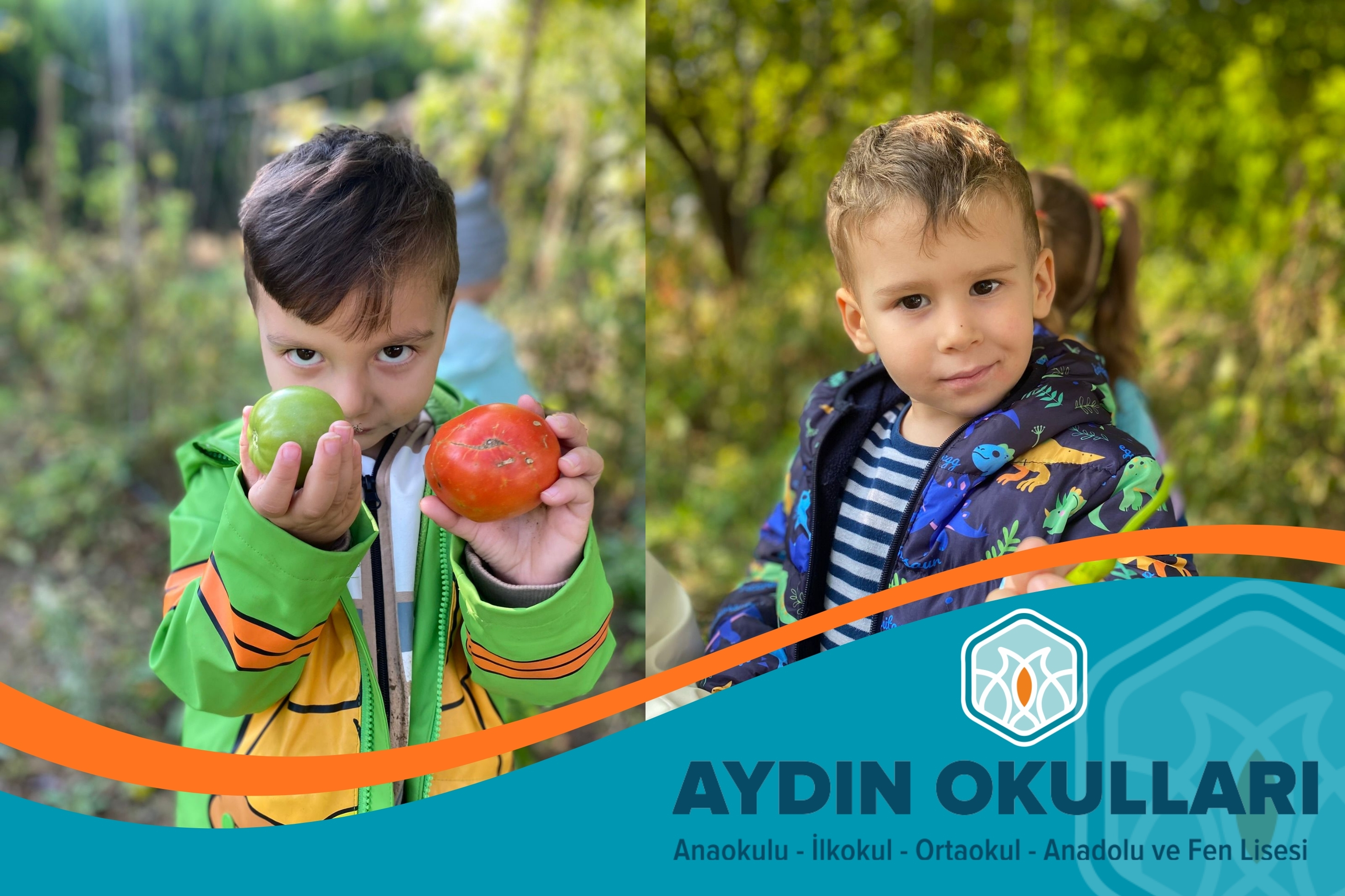 Aydın Okulları